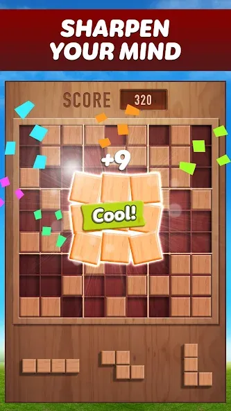 Woody 99 - Sudoku Block Puzzle (Вуди 99)  [МОД Все открыто] Screenshot 1
