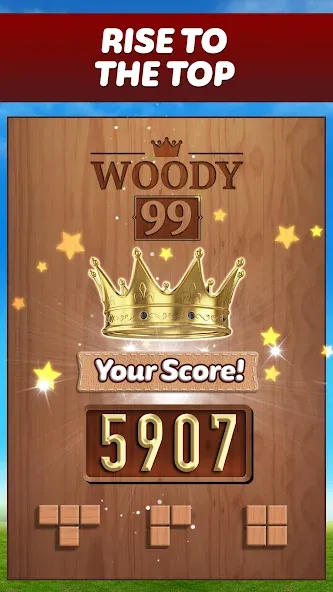 Woody 99 - Sudoku Block Puzzle (Вуди 99)  [МОД Все открыто] Screenshot 5