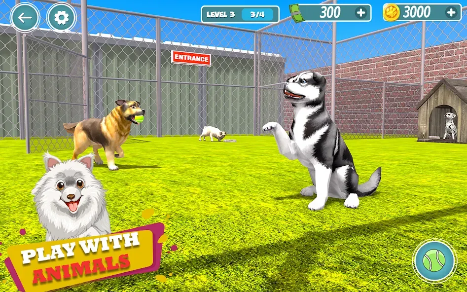 My Pet Animal Shelter World  [МОД Бесконечные монеты] Screenshot 1