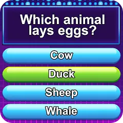 Скачать взлом Trivia Crush (Тривия Краш) [МОД Много денег] на Андроид